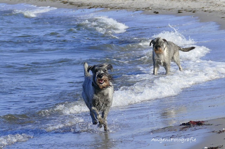 Urlaub in Brasilien Ostsee